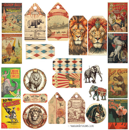 Circus - Unique Junk Journal Kit 1 - Patterns