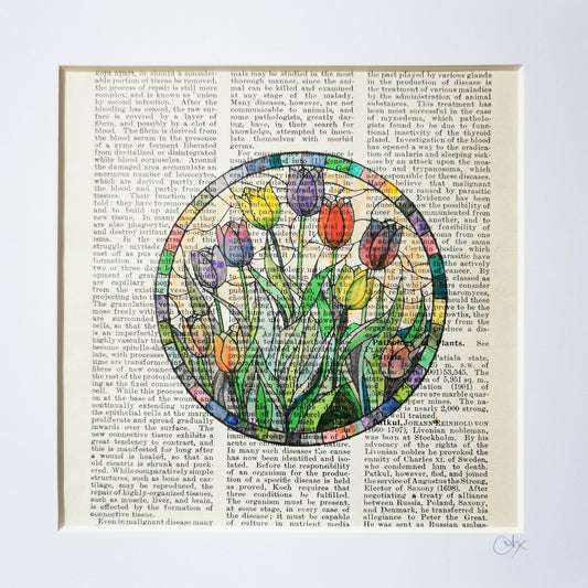 Signed original book page with watercolour and ink illustration of a bunch of tulips