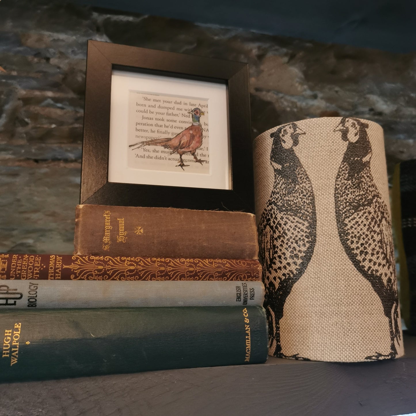 A freestanding black 12.5 cm box frame on a bookshelf on vintage books and a pheasant lantern against a backlit slate wall, with a 6cm internal frame with a book page and a hand-drawn watercolour illustration of a pheasant.